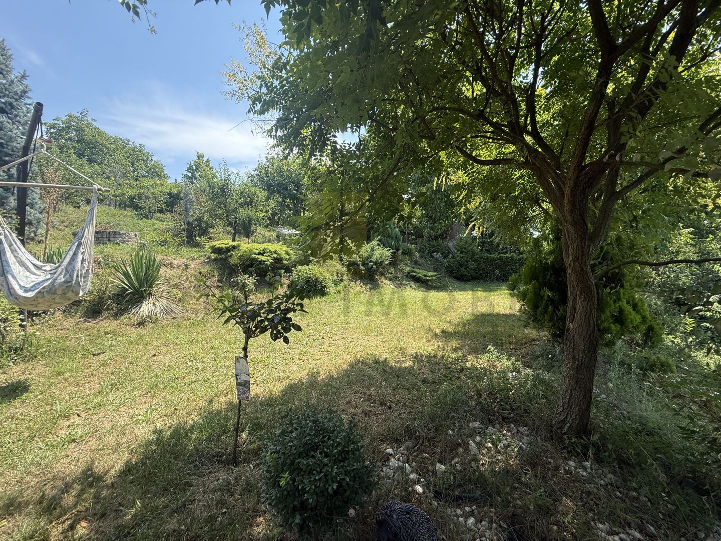 Casa individuala, Premium, Bucium, zona linistita - Poză 16