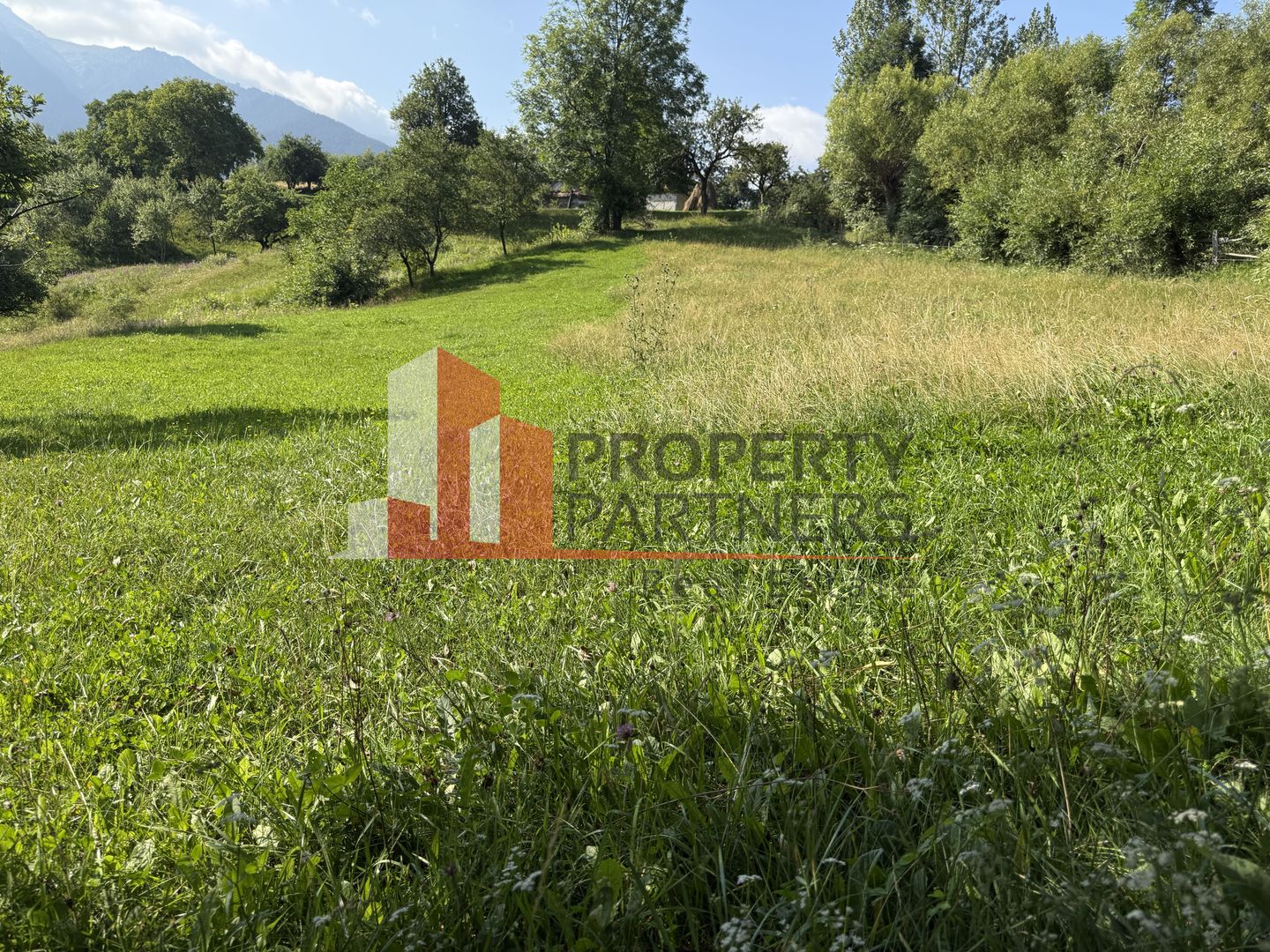 Teren Sohodol 5000 mp - Poză 5