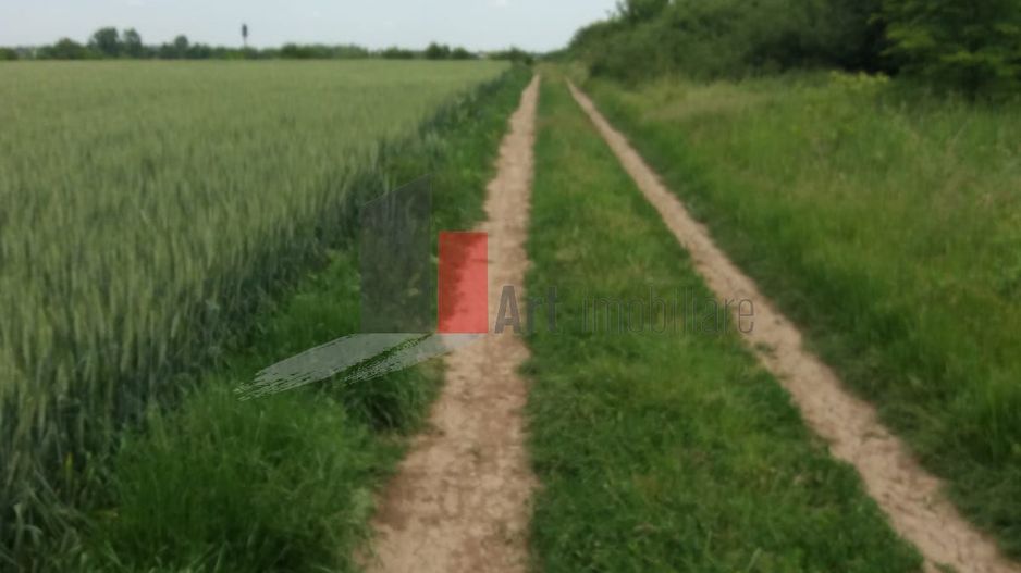 Teren Buftea cu iesire la lac - Poză 3