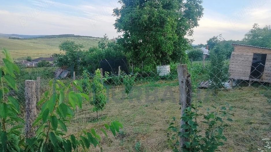 Teren intravilan de 1550 mp în localitatea Buznea, strada Corneliu Coposu - Poză 2