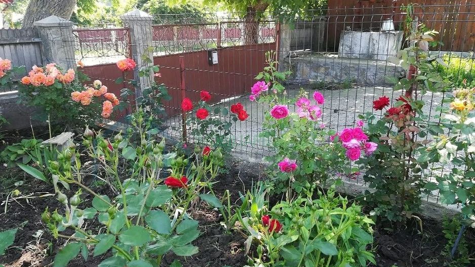 Casă cu teren în Deleni, Iași - Stradă principală - Poză 4