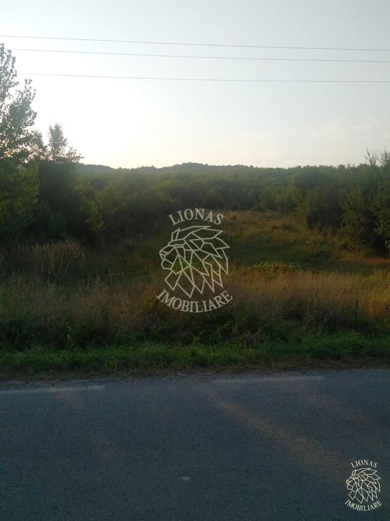 Teren 5500 mp-oportunitate investitie-pretabil cabana-Jelna - Poză 5