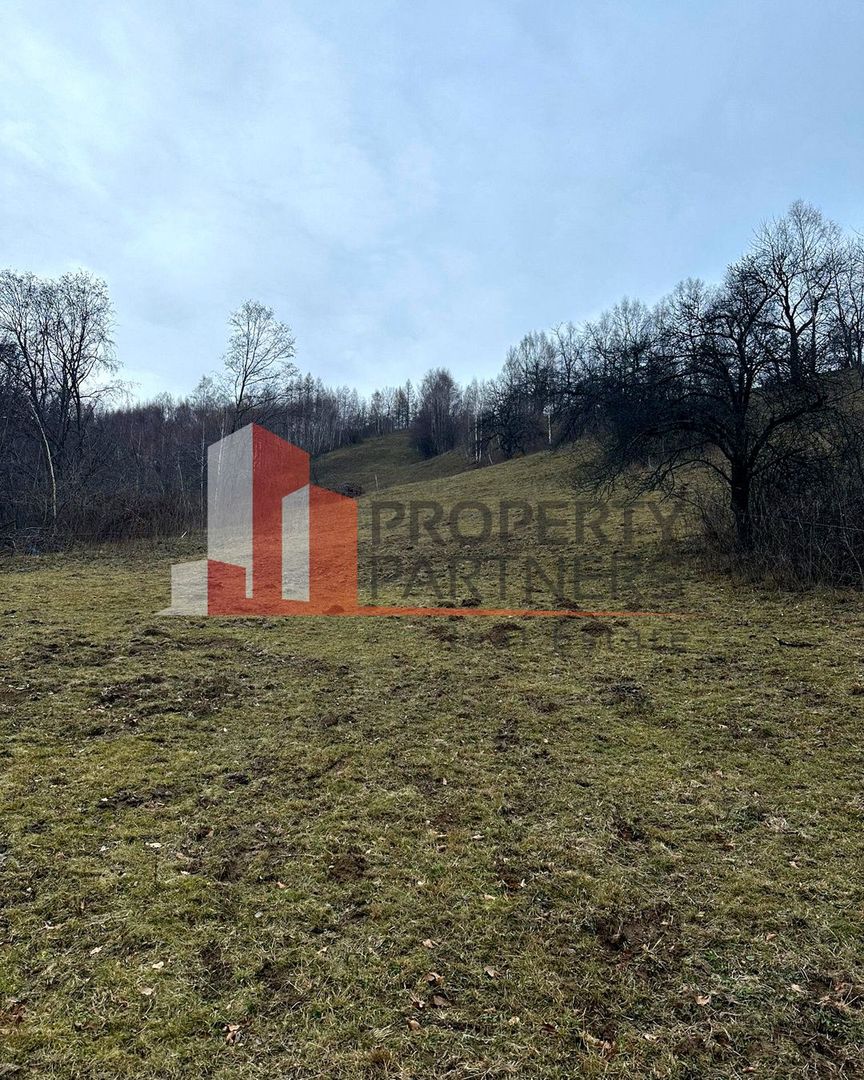 TEREN 11.500 MP + CASA AUTHENTICA ÎN BRAN – ȘIMON | VEDERE BUCEGI - Poză 8