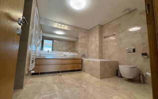 Duplex spectaculos 5 camere 266mp balcoane 32mp Pipera, Floreasca Nord - Poză 7