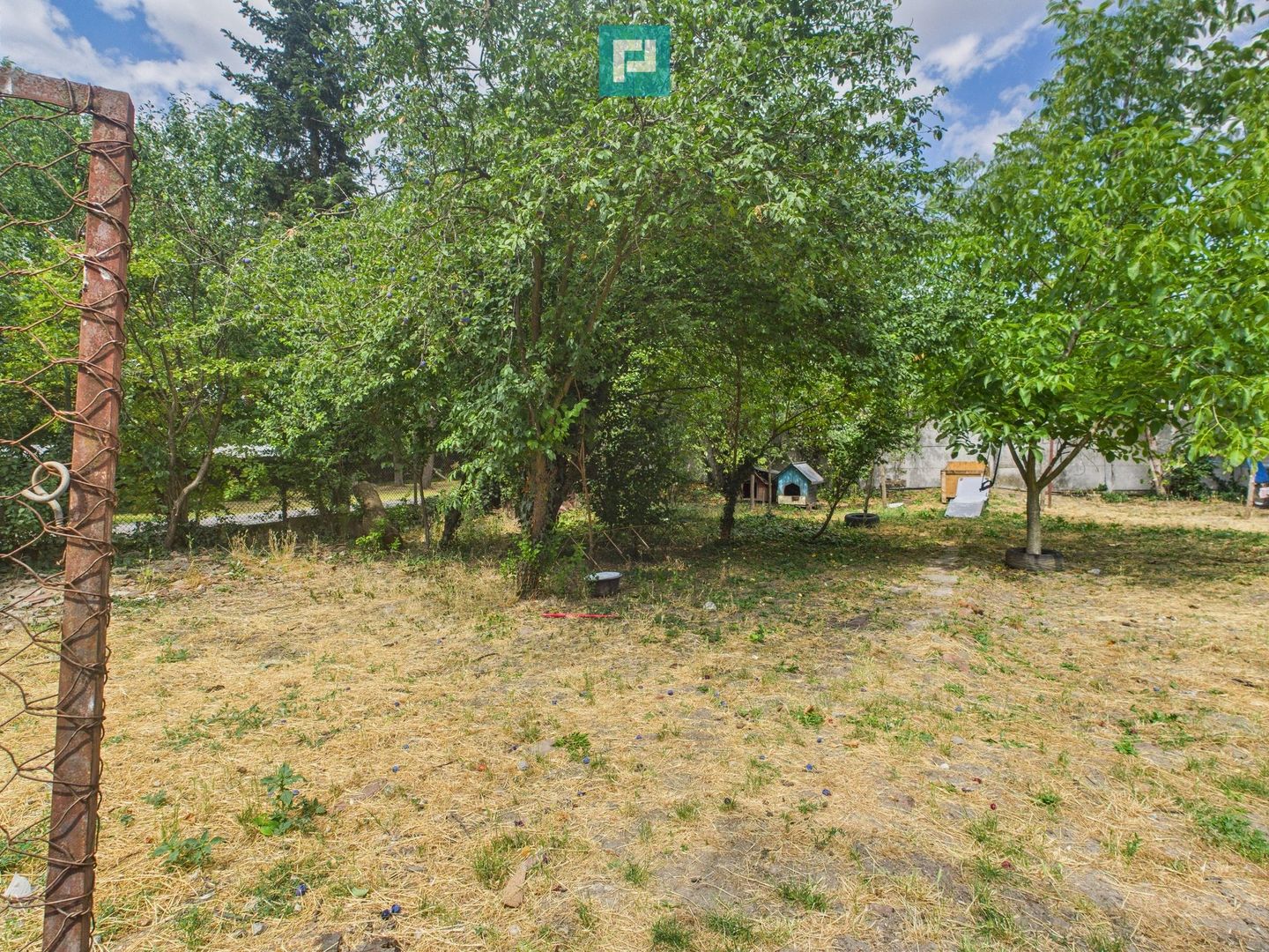 Locuință multifamilială sau investiție - 2 corpuri - Poză 4