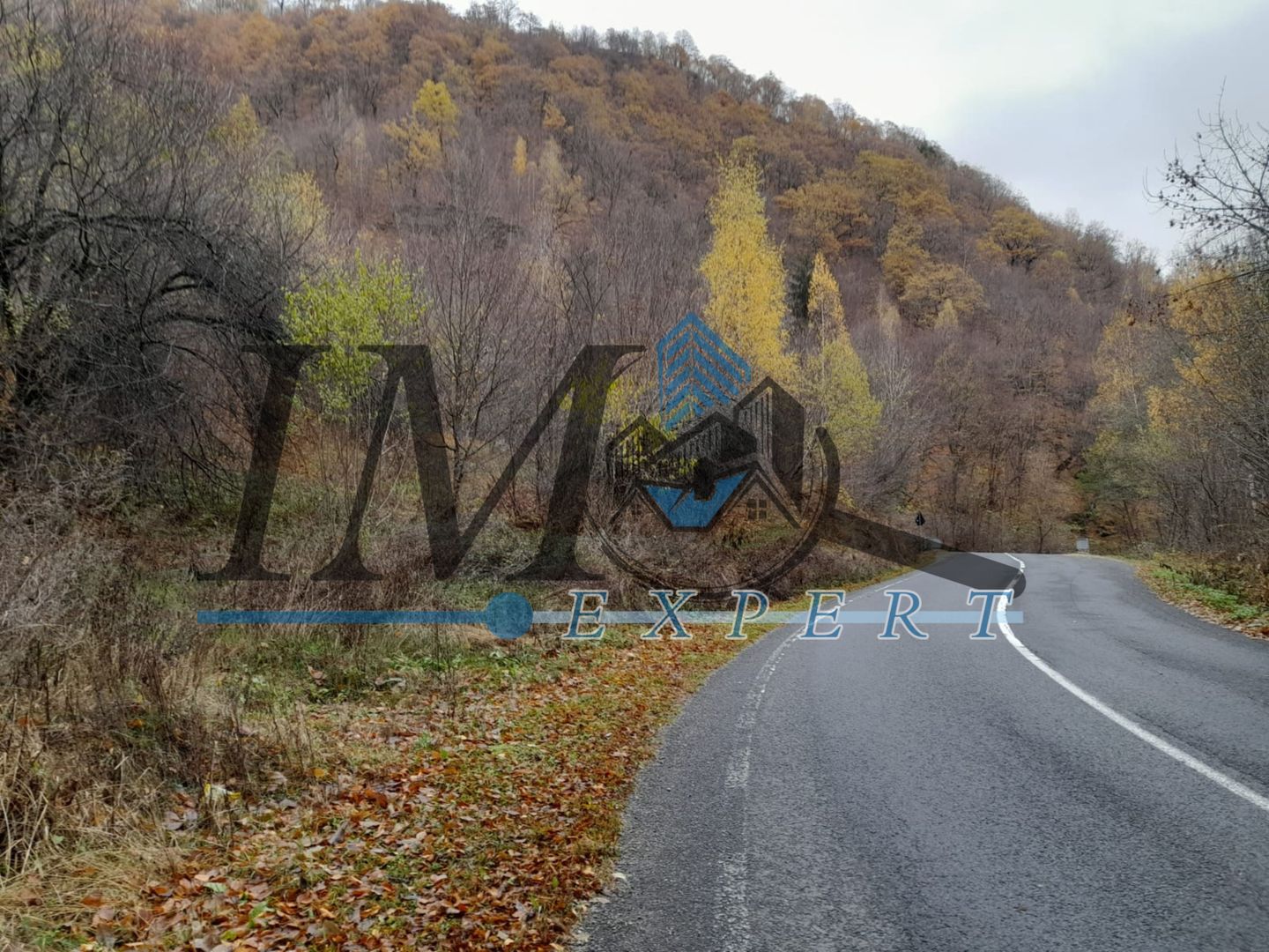 Teren extravilan direct la șoseaua TRANSALPINA - Poză 3