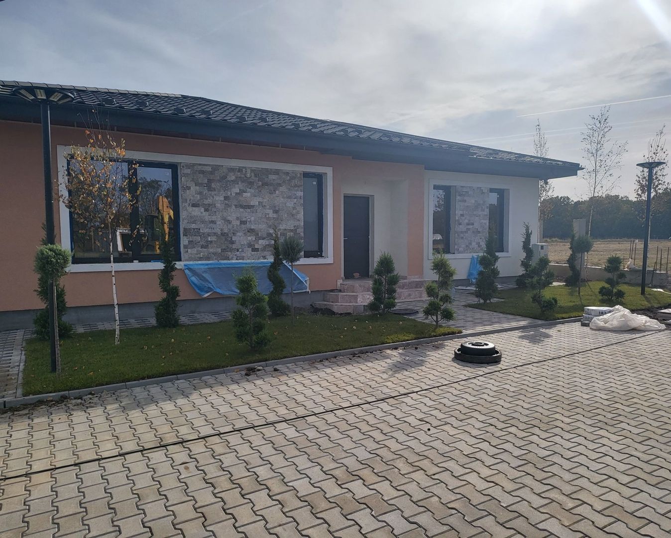 Moara Vlasiei | Padurea Branzeasca - Poză 8