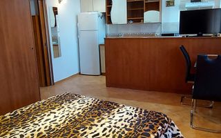 Garsoniera Sebastian - Poză 5