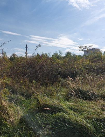 Vanzare teren industrial, zona Vama - Arpechim - Poză 3