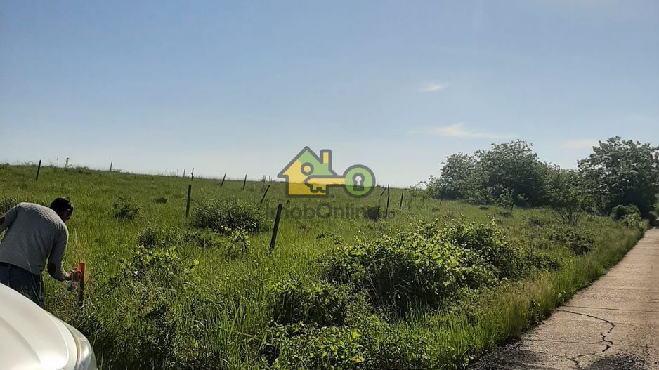 Teren Extravilan, Dealu Viilor, Lugoj - Poză 1