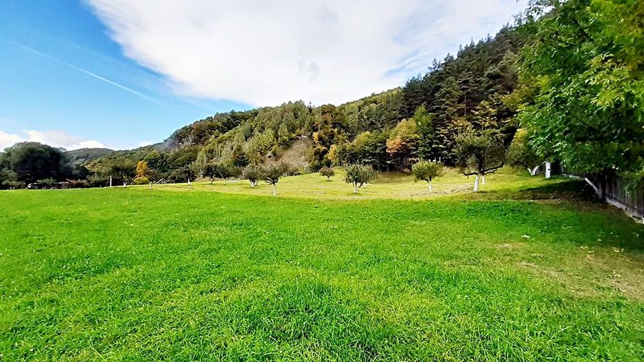 Teren superb de 16240mp, parcelabil, in Bran la intrare in Moeciu de Jos - Poză 5