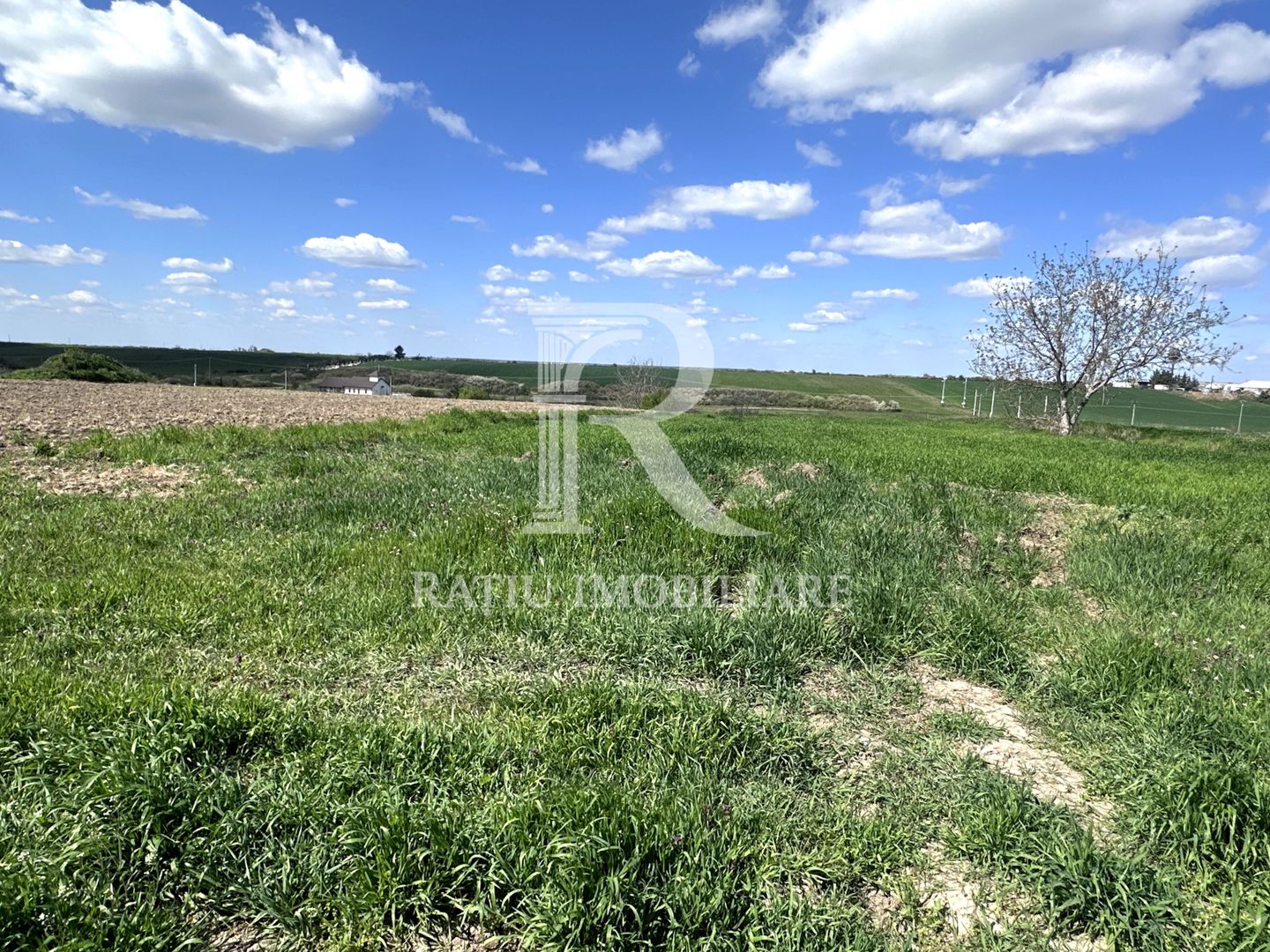 Teren intravilan | Leș | Bihor - Poză 4