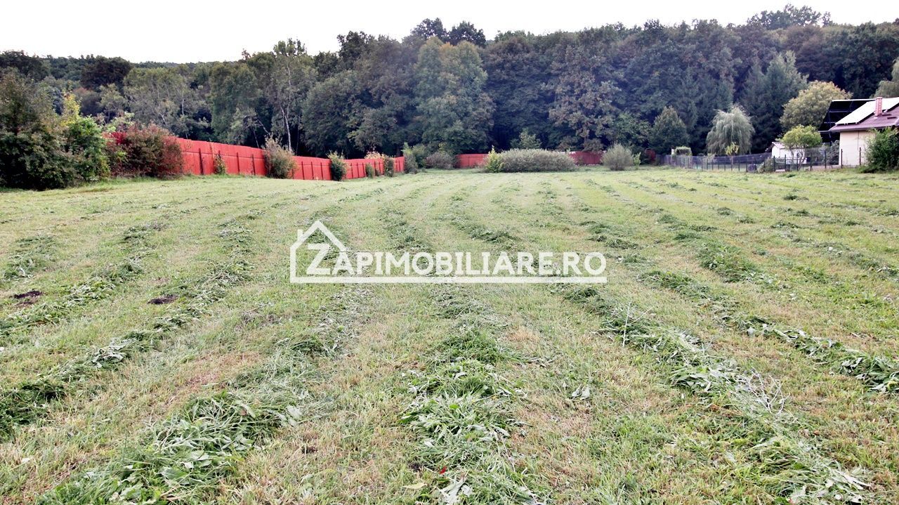Teren Intravilan 5400 mp Corunca Valea Iubirii - Poză 2