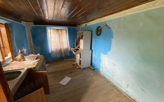 Casă cu teren 6600 mp, drum asfaltat, apă, canalizare - Schitu Duca, Iași - Poză 3
