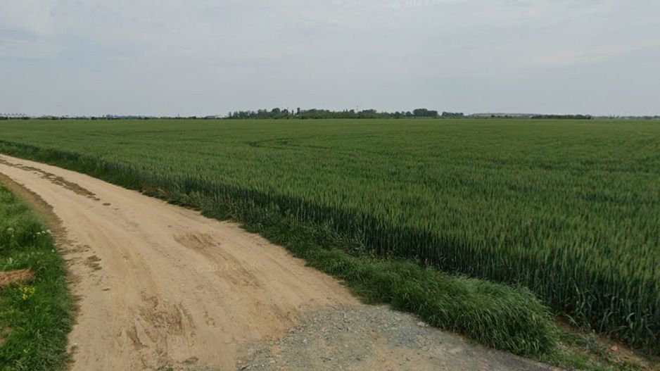 Teren intravilan de vanzare 1455 mp, Dragomiresti-Vale - Poză 5