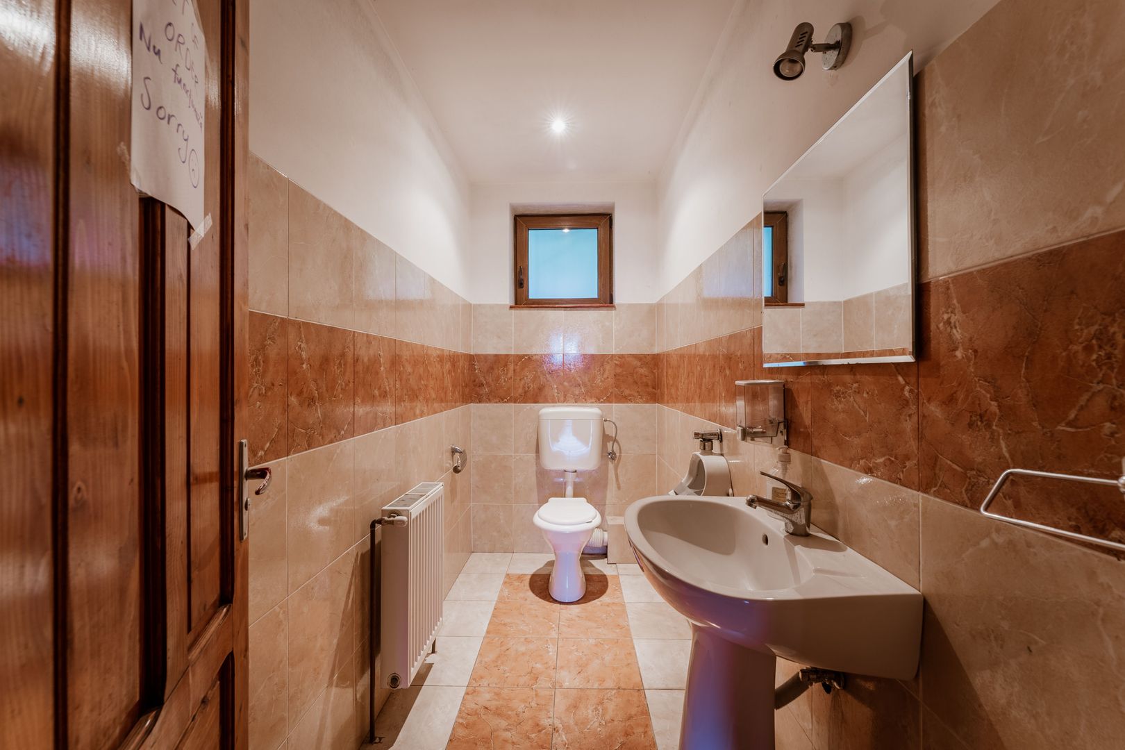 Domeniu în satul Căprioara - Poză 34