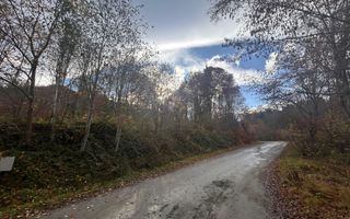 Oportunitate de investiție – Teren pentru hotel / pensiune pe Valea Avrigului - Poză 5