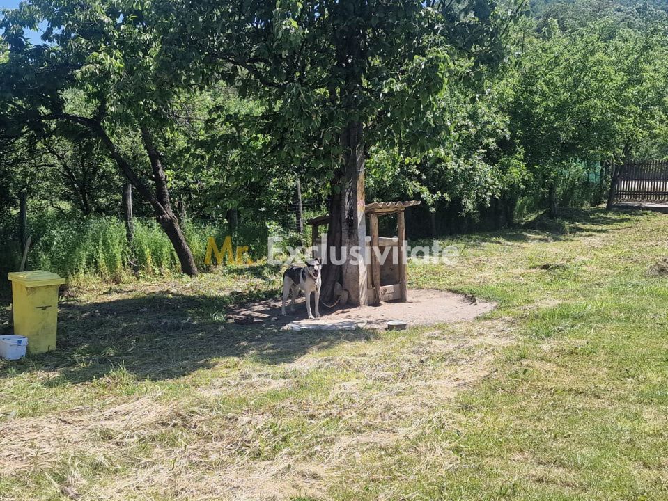 Proprietate în Comuna Botești, Județul Argeș – Zonă Pitorească și Liniștită ! - Poză 20