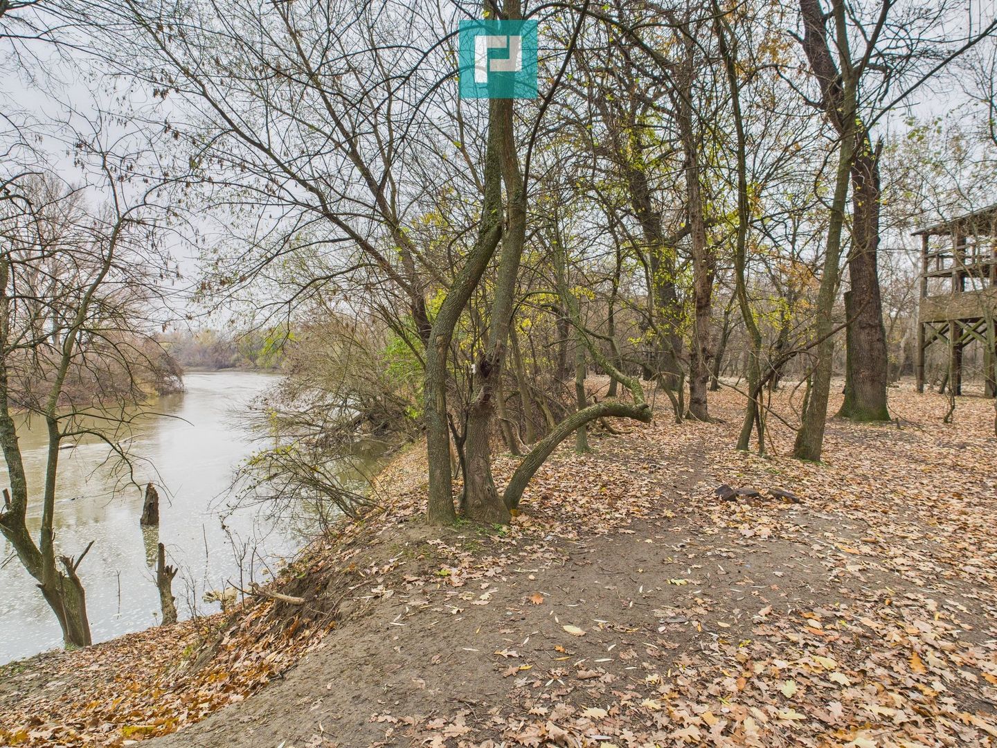 Teren spectaculos la  Periam Port - Poză 7