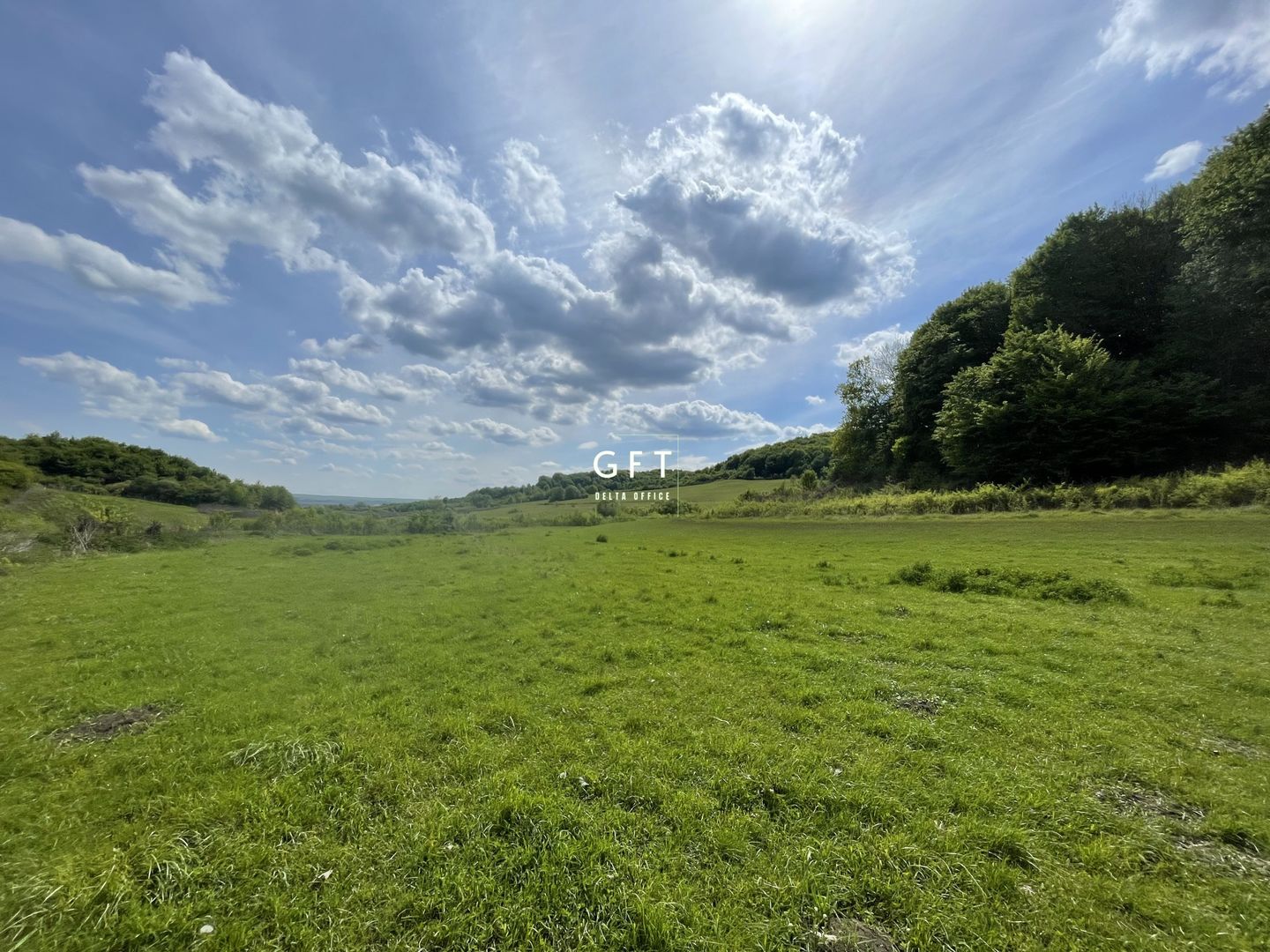 Teren extravilan 10000 mp, Jelna. - Poză 1