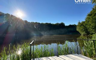 Vila exclusivista langa Domeniu Mogosa (schimb cu apartamente) - Poză 10