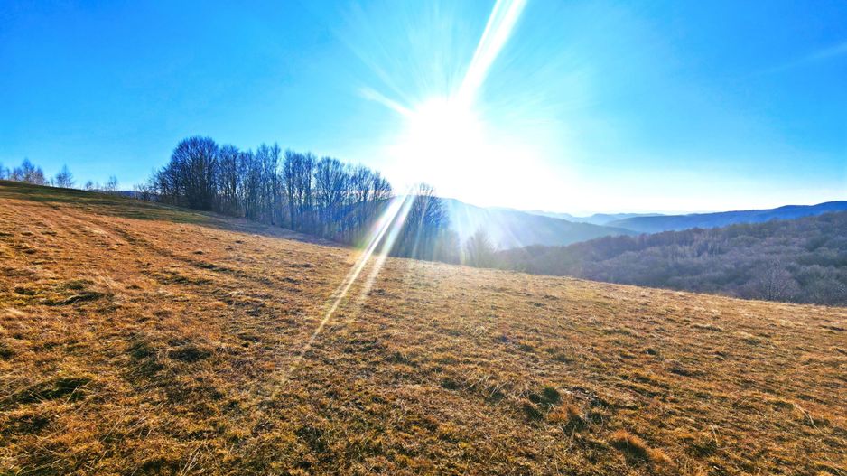 2,2 Ha TEREN INTRAVILAN PANORAMIC, in Muntii Apuseni NEGRENI – CLUJ - Poză 7