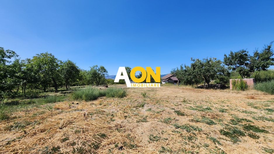 De vanzare teren 10.651mp intravilan, parcelabil, Oarda de Sus - Poză 7