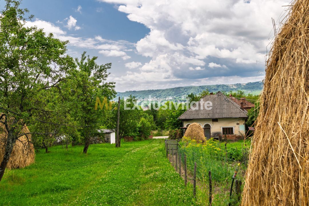 Proprietate de poveste în Corbi, Argeș - Doua case si 6300 mp teren intravilan - Poză 2
