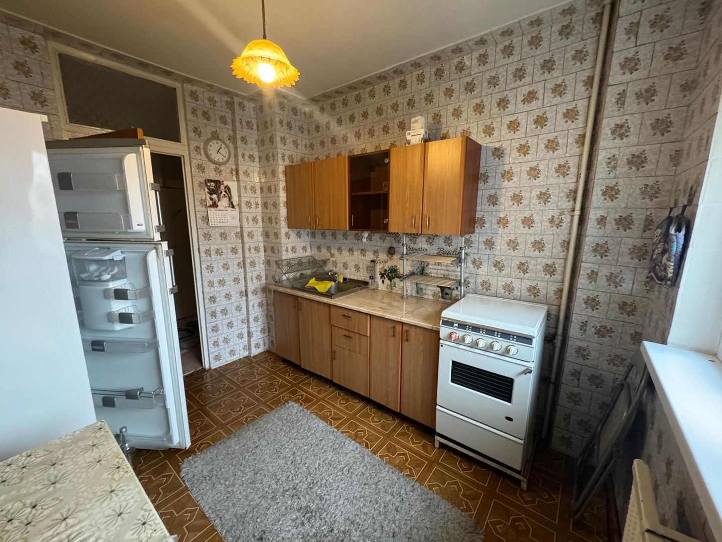 2 Camere Campia Libertatii Pet friendly - Poză 9