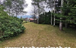 Casa de vacanta Cheia- Prahova - Poză 31