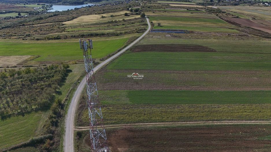 NECTORA IMOB-Teren Saldabagiu de Munte, aproape de Lac Paleu, 2880mp - Poză 5