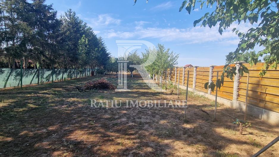 Teren | Santandrei | Drum Privat | Imprejmuit | 2052 mp | Bihor - Poză 3
