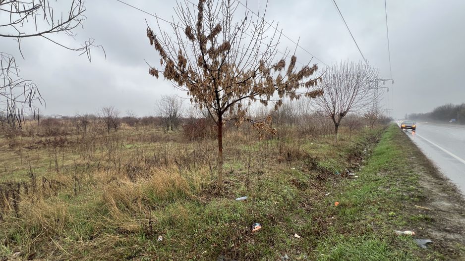 Teren la DN7 - ideal investitie (Benzinarie, spalatorie, hala) - Poză 9