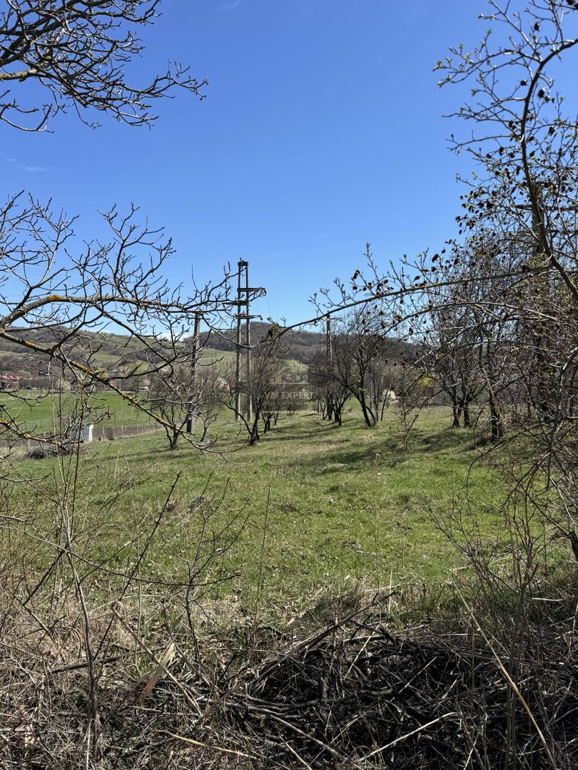 TEREN INTRAVILAN 2800MP CAMPULUNG ZONA PESCAREASA - Poză 11