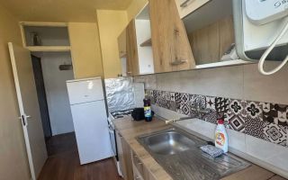 Apartament 1 camera Blascovici - Poză 5