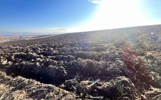 Teren I Suceava I Moara Nica I 2500 Mp I 54.900 Euro - Poză 4