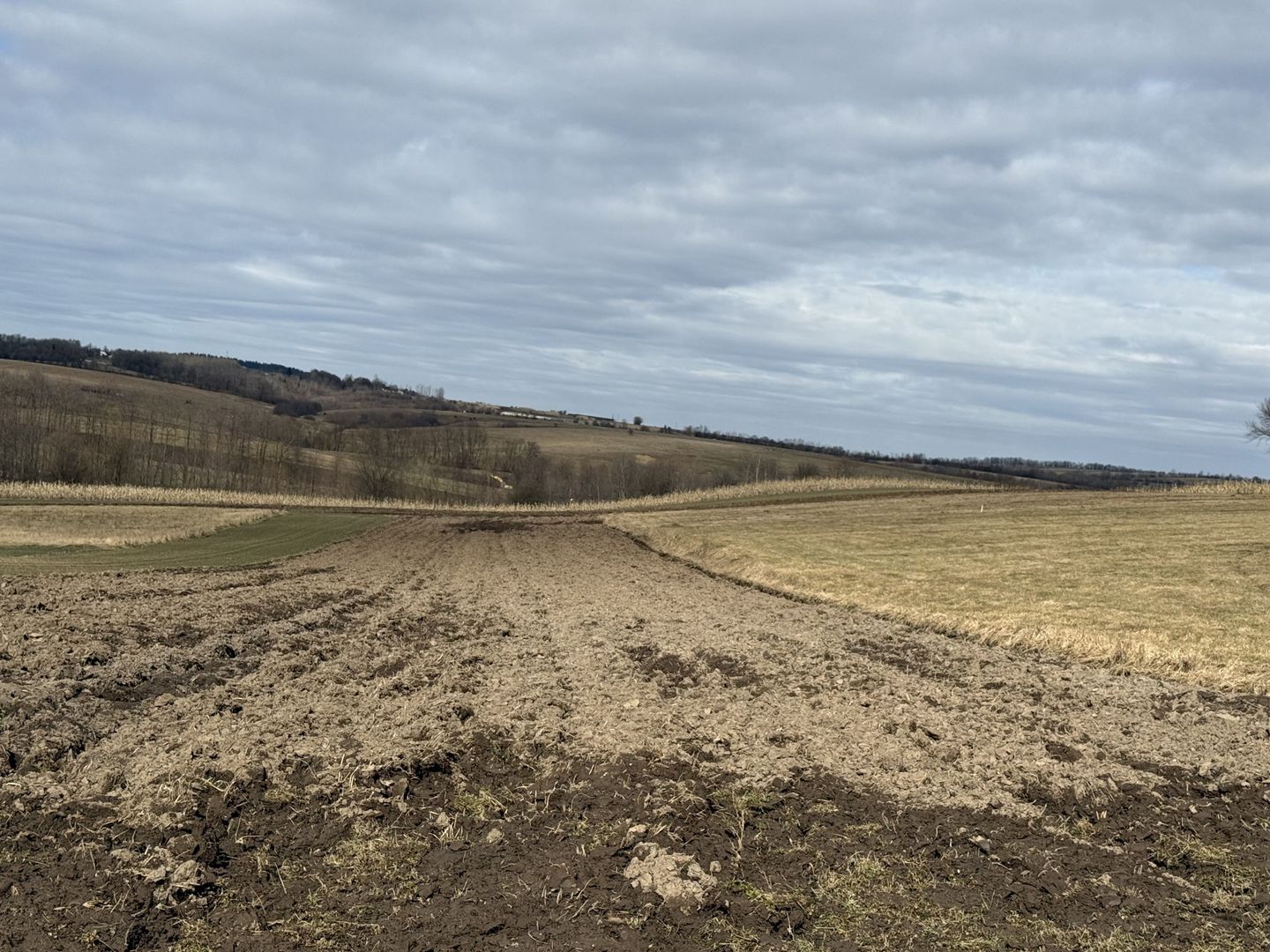 Teren intravilan | 16 ari | Horodnic de Jos – zona Călugărița - Poză 2