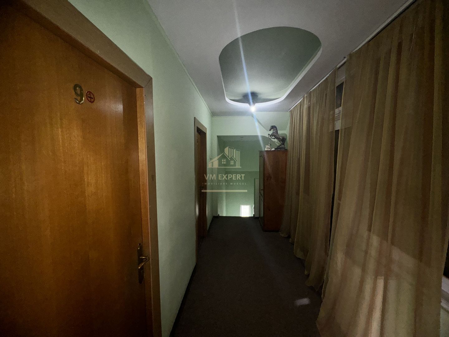 VILA - PENSIUNE CU RESTAURANT + SI TEREN 6406 MP, VALEA MARE PRAVAT, - Poză 33