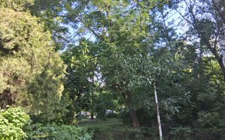 OCAZIE Apartament 3 camere Drumul Taberei 4 min de metrou - Poză 4