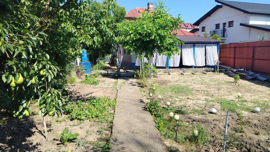 Snagov stradal central - Poză 12