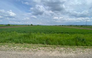 Teren Burla | Strada Principala | 78 ARI - Poză 1