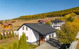 Casă 4 camere, garaj, foișor, grajd, 6000mp teren lângă padure - Poză 4