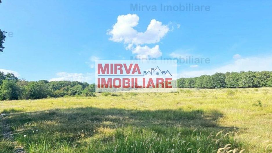 Vanzare teren intravilan, in Pacureti - Poză 2