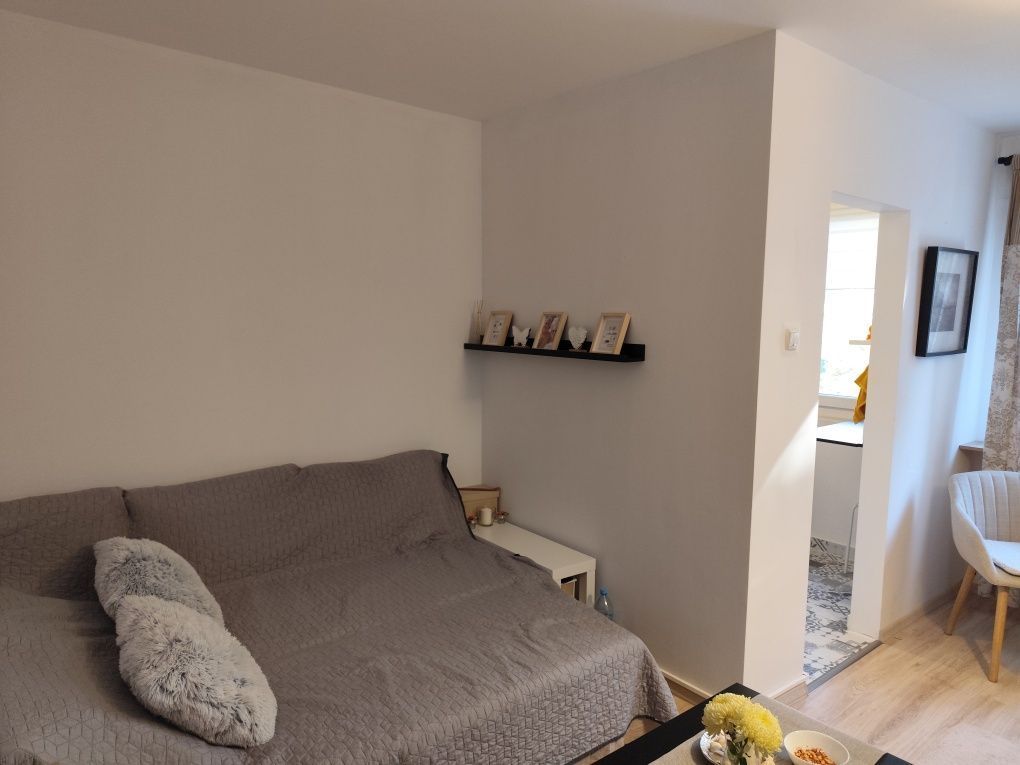 De vanzare garsonieră in Titan,Liviu Rebreanu - Poză 6