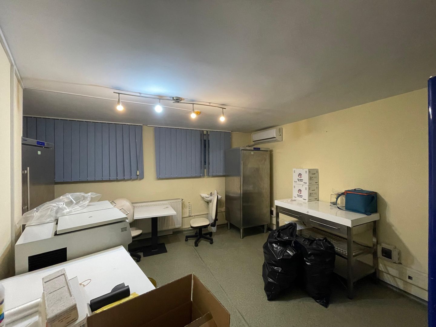 Spatiu bussines de 490mp intr-o vila pe 4 niveluri - Timisoara - Poză 6