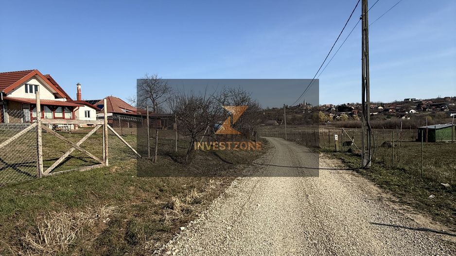 Teren intravilan 700 mp cu utilități în Paleu - Poză 5