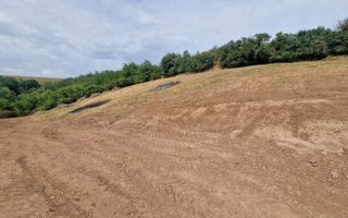 Teren intravilan intre Micesti si Sard - Poză 3