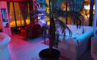 Spațiu comercial 820 mp de închiriat – Calea Aradului - Poză 17