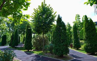 Inchiriere apartament 2 camere  | Complex rezidential | Floreasca| Nord - Poză 11