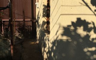 Casa Parc Bazilescu ,Bucurestii noi,poziție excelenta - Poză 2